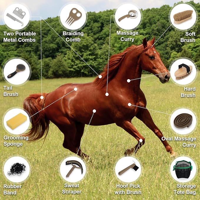 Swess Horse Grooming Kit 14 Pieces, Horse Brushes Set for Grooming & Bathing Supplies, Professional Horse Supplies with Mane & Tail Comb, Curry Comb, Hoof Pick, Gloves & Mesh Tote Bag for Equine Care