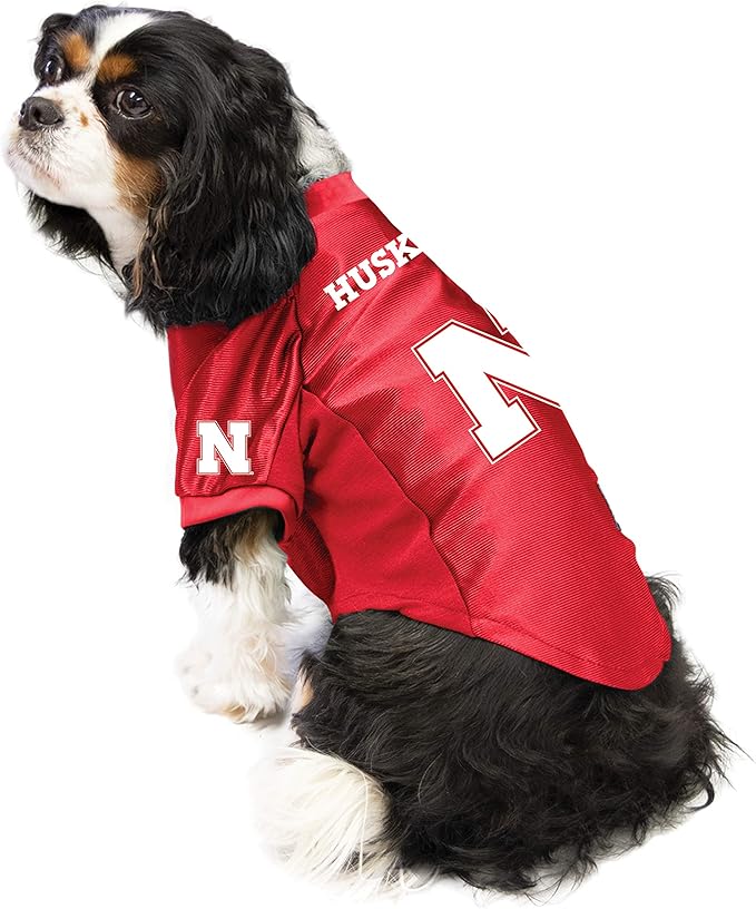 Littlearth NCAA Arizona Wildcats Stretch Pet Jersey, Team Color, Medium