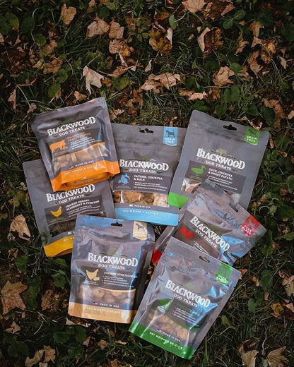 Blackwood Oven Baked Dog Treats, Chicken with Parmesan, 8 Ounce Pouch, Training Treats for All Life Stages and Breed Sizes