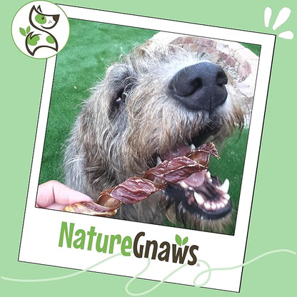 Nature Gnaws Beef Gullet Springs for Dogs 7-8" (6 Count) - Natural Beef Jerky Stick Dog Chew Treats - Rawhide Free