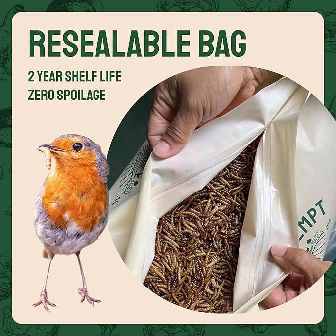 Hatortempt 1.8lb Dried Mealworms for Wild Birds - 50% Protein Meal Worms for Wild Birds - Attracts Bluebirds, Starlings, Wrens, Woodpeckers, Cardinals and Robins