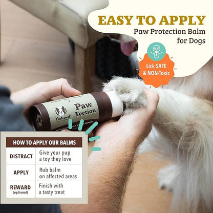 Natural Dog Company Pawtection Balm for Hot Pavement, Dry Cracked Dog Paws, and Rough Terrain - Safe, Non-Toxic, and Lick Safe - Protects Paws Natural Ingredients, Lick-Safe, 2 oz Stick