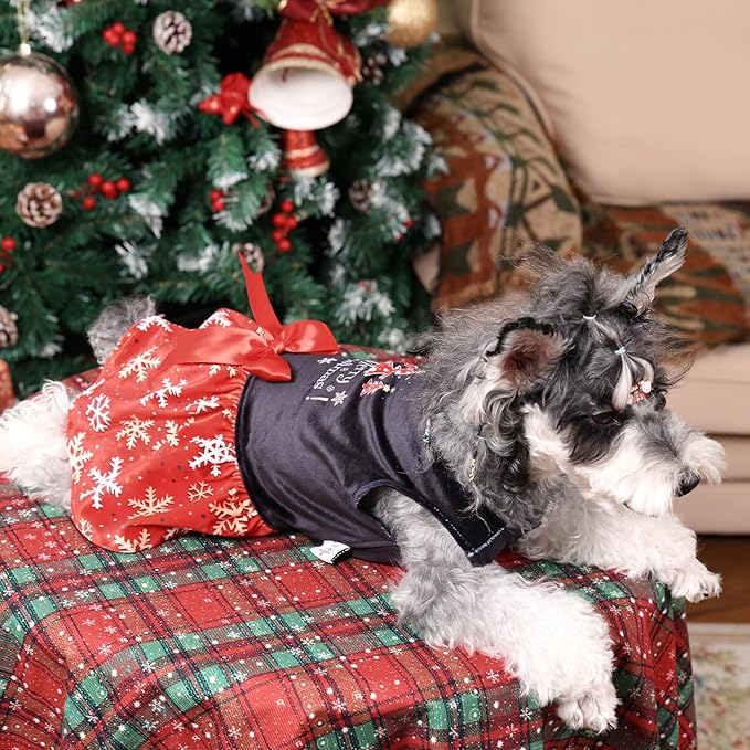 CuteBone Christmas Dog Dresses Velvet Holiday Small Dogs Clothes Onesie Pet Apparel Girl Puppy Skirt with Bow Hair Rope CVA54L-D
