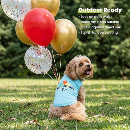 Fitwarm Birthday Boy Dog Shirt, Bir-Ruff-Day Boy Funny Dog Clothes for Small Dogs Boy, Pet Birthday Outfit, Cat Tshirt, 100% Breathable Cotton, Aqua Blue, Small