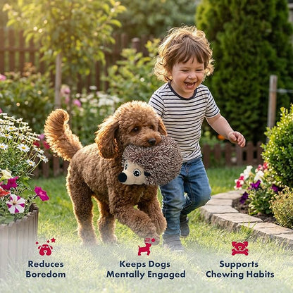 Pet Lou 4 Inch Squeaky Hedgehog Ball Dog Plush Toy, Stuffing-Free Soft Plush, Durable Bouncy Squeaker Ball, Floats in Water, for Small & Medium Dogs