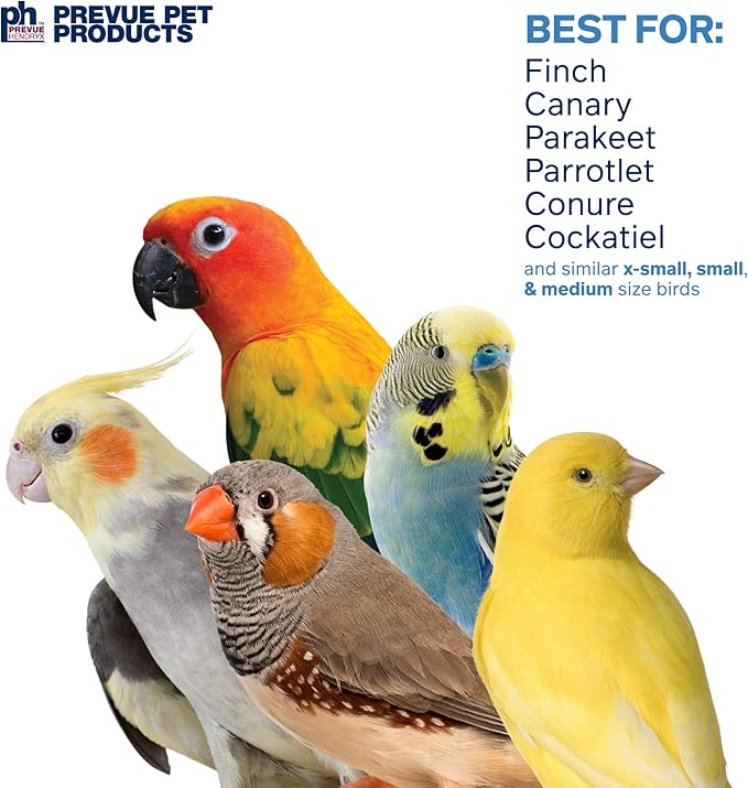 Prevue Pet Products Preen & Pacify Fancy Dance Bird Toy 62611