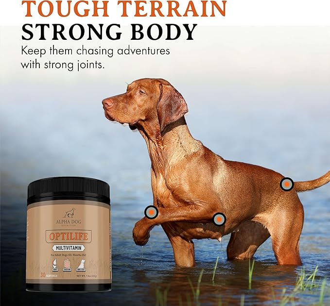 OptiLife Dog Multivitamin Powder - Adult Dog Multivitamin with Probiotics, Allergy Support, Joint Support, Skin & Coat Support - Dog Vitamins and Supplements - Multivitamin for Dogs (60 Servings)