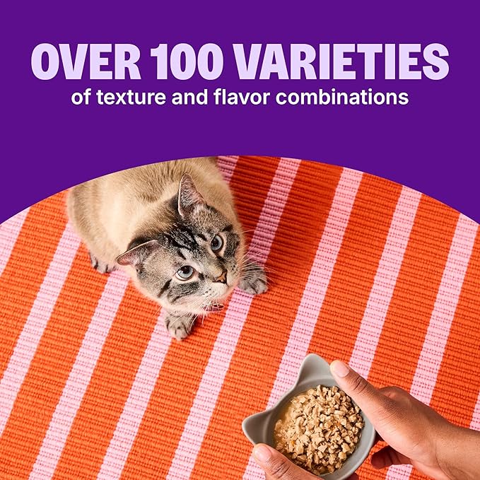 Wellness CORE Signature Selects Shredded Adult Canned Wet Cat Food, Natural, Protein Rich, Grain Free, Chicken and Turkey Entrée Recipe, 5.3 oz, Pack of 12 Cans