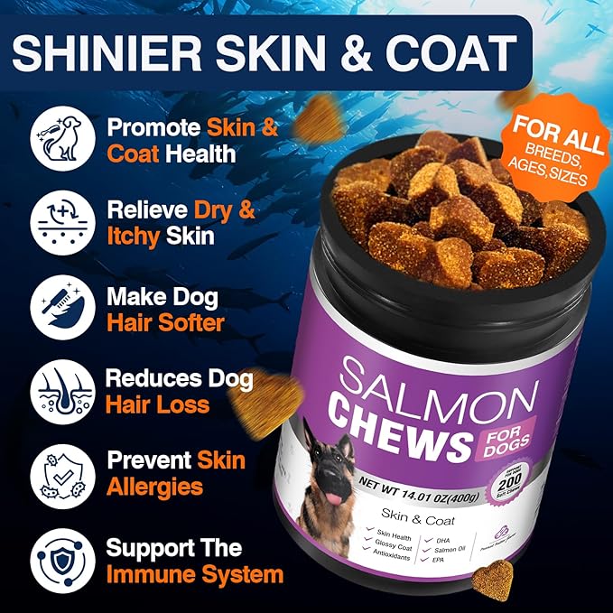 TTLXBL Omega 3 Skin and Coat Supplement for Dogs 200 Chews Dog Fish Oil Supplements with EPA & DHA Fatty Acids Dry Skin Relief for Dogs Shedding Allergy Itching Promotes Heart Hip Joint(Peanut Butter)
