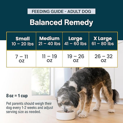 JustFoodForDogs Pantry Fresh Wet Dog Food, Complete Meal or Dog Food Topper, for Sensitive Stomachs, Balanced Remedy Human Grade Dog Food Recipe - 12.5 oz (Pack of 12)