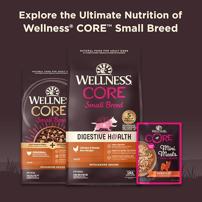 Wellness CORE Natural Grain Free Small Breed Mini Meals Wet Dog Food, Shredded Chicken & Turkey Dinner in Gravy, 3-Ounce Pouch (Pack of 12)