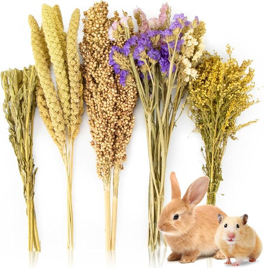 Sukh Natural Hamster Bedding Sprays - Foraging Habitat Decor Cage Accessories, Hideout Enrichment for Dwarf & Syrian Hamsters, Gerbils, Mice and Other Small Animals