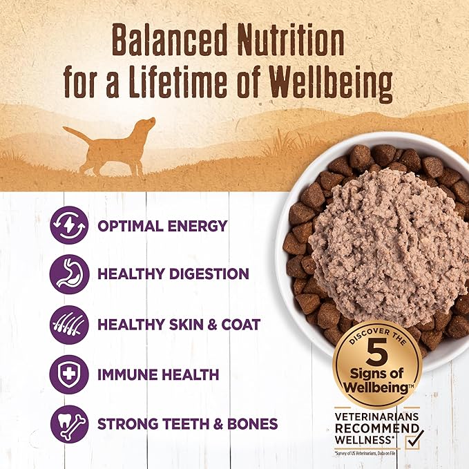 Wellness 95% Chicken Natural Wet Grain Free Canned Dog Food, 13.2-Ounce Can (Pack of 12)