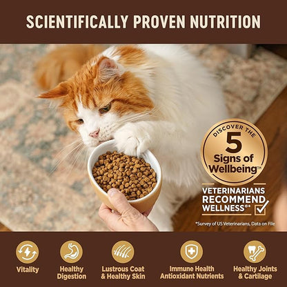Wellness CORE Adult Dry Cat Food, Natural, Grain Free Kibble, Turkey and Chicken Recipe, 5 lb Bag