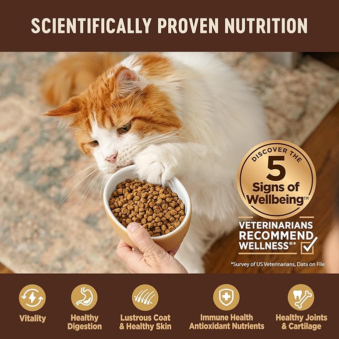 Wellness CORE Kitten Dry Cat Food, Natural, Grain Free Kibble, Turkey Meal and Chicken Recipe, 5 lb Bag
