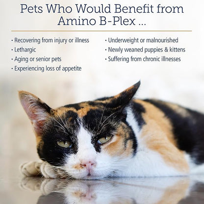 Rx Vitamins Amino B Plex Cat & Dog Supplement - Vitamin B Complex Liquid Plus Amino Acids for Dogs & Cats - Appetite Booster and Weight Gainer Cat & Dog Vitamins - 4 oz