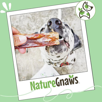 Nature Gnaws Beef Gullet Chews for Large Dogs 9-10" (50 Count) - Natural Beef Jerky Stick Dog Chew Treats - Rawhide Free