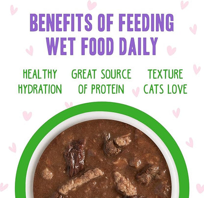 Weruva B.F.F. OMG - Best Feline Friend Oh My Gravy!, Tuna & Lamb Lights Out with Tuna & Lamb, 2.8oz Can (Pack of 12)