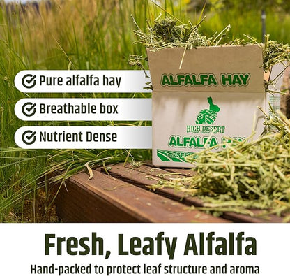 High Desert Alfalfa Hay, Protein Rich Soft Leaf Food for Young Growing Animals, Natural Rabbit Food and Guinea Pig Hay, Supports Digestive Health, Small Pet Supplies, Fresh Hand, Pack of 2, 10 Lb Box