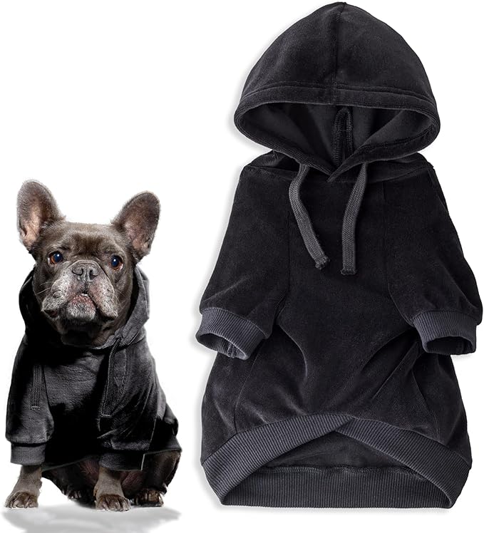 Pet Passion Cooper II Organic Cotton Velour Dog Hoodie Pet Coat for Small, Medium and Large Dogs, Black, Medium (20-45 lbs)