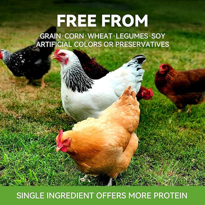 OPET Freeze Dried Chicken Breast Cat Treats for Cats & Dogs，Single Ingredient Grain Free High Protein Pet Food，Healthy Training Snacks (Chicken Breast, 1.48 Ounce)