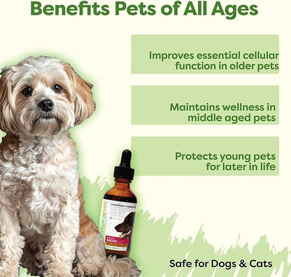 RestoraPet 1-Pack Dog & Cat Bacon Liquid Multivitamin | Dog Arthritis Pain Relief | Hip & Joint Vitamins for Dogs - Anti Inflammatory Supplement for Dogs & Cats | Organic & Non-GMO, Vet Approved