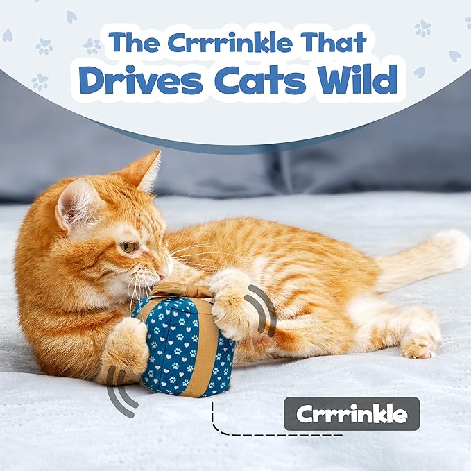 PUPROAR Gift Box Cat Toy, Cat Birthday Toy with Catnip and Crinkle, Cute Indoor Gift for Cats