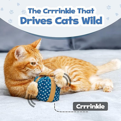 PUPROAR Gift Box Cat Toy, Cat Birthday Toy with Catnip and Crinkle, Cute Indoor Gift for Cats