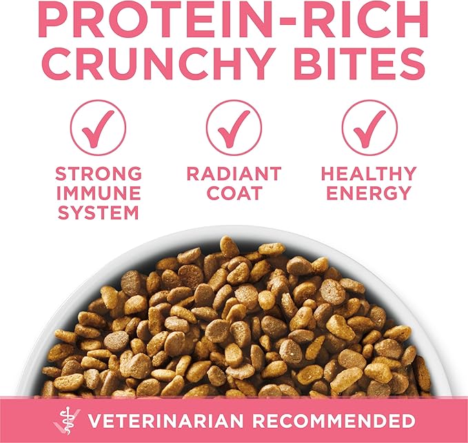 Purina ONE High Protein, Natural Dry Kitten Food, +Plus Healthy Kitten Formula - 3.5 lb. Bag