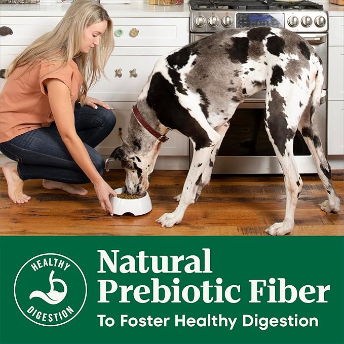 Nutro Natural Choice Dry Dog Food, Adult Dog Food Dry Chicken and Brown Rice Recipe, 30 lbs.