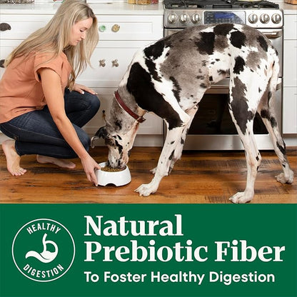Nutro Natural Choice Dry Dog Food, Adult Dog Food Dry Chicken and Brown Rice Recipe, 30 lbs.