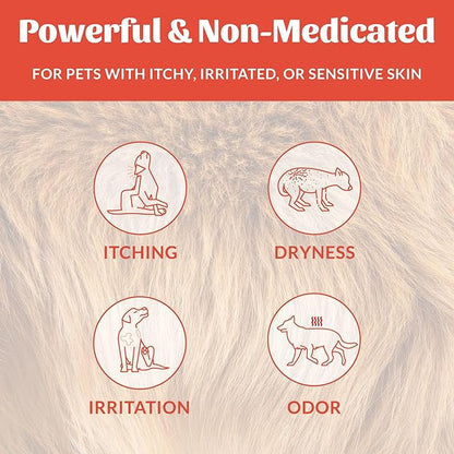 SKOUT'S HONOR Probiotic Itch Relief Spray for Pets - Non-Medicated, Fragrance-Free, Natural, Vegan, Long-Lasting Relief, with Soothing Aloe & Avocado Oil, 8 oz, 2-Pack