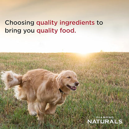 Diamond Naturals Adult Dry Dog Food Lamb Meal and Rice Formula Made with High Quality Lamb Protein, Probiotics and Essential Nutrients to Support Balanced and Overall Health 40Lb