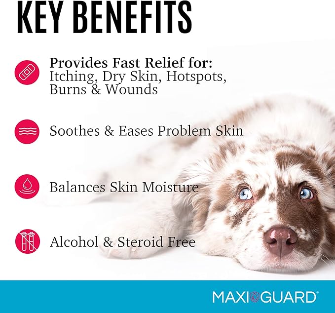 Maxi-Guard Pet Skin Care Spray Zn7 Derm with Neutralized Zinc for Dogs, Cats, Bovine, Exotics and Companion Animals (2oz), red/White