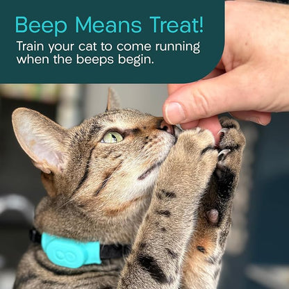 Tabcat V2 Cat & Kitten Tracker - More Accurate Than GPS - No Monthly Fee or Subscription - Includes 2 Homing Tags - Up to 150m Range - Small & Lightweight Tags Perfect to Find Indoor & Outdoor Cats