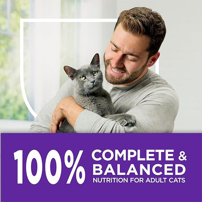 Purina Cat Chow Gentle Sensitive Stomach and Skin Dry Cat Food with Turkey - 13 lb. Bag
