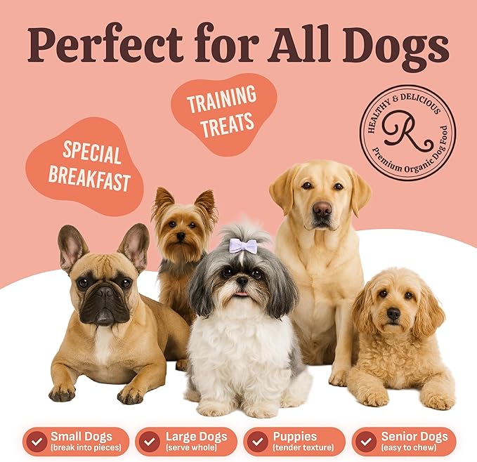 Rondi's Kitchen Organic Dog Pancake Mix - Natural Healthy Treat for All Dogs - Superfood Snack Made with Human-Grade Ingredients - Makes About 38 Pancakes - Chicken & Carrot with Bone Broth