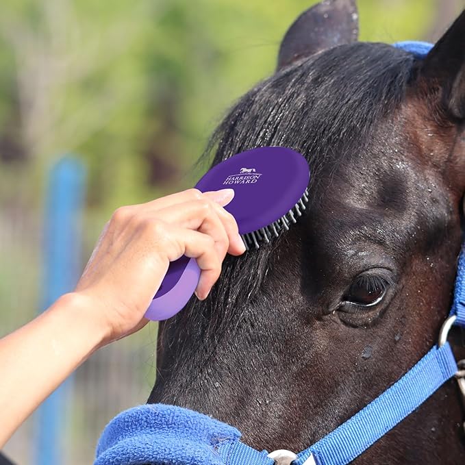Harrison Howard Horse Mane and Tail Brush - Professional Grooming Brush, Equestrian Detangler, Non-Slip, Purple
