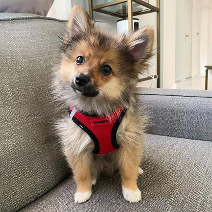 Best Pet Supplies Voyager Step-in Air Harness - All Weather Mesh, Reflective, No Pull Harness for Dogs, Cats - Secure with Hook & Loop Fastener, Buckle, Double D-Rings - Red/Black Trim, XXXS