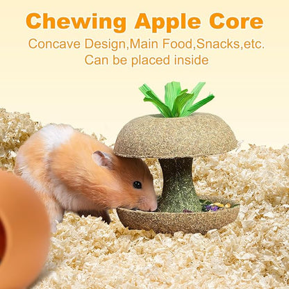 Hamster Chew Toys, Bunny Chew Bowl, Natural Chew Toys for Hamster, Rabbit, Guinea Pig, Chinchilla