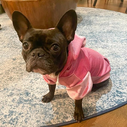 BEAUTYZOO Dog Hoodie Sweaters for Small Medium Dogs- Warm Fall Winter Fleece Jacket for Cold Weather, Soft Velour Hooded Coat with Leash Hole & Pocket, Puppy Sweatshirt Clothes Bulldog Schnauzer, Pink