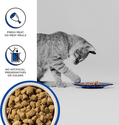 BIXBI Rawbble Freeze Dried Cat Food, Turkey Recipe, 10 oz - 94% Meat and Organs, No Fillers - Pantry-Friendly Raw Cat Food for Meal, Treat or Food Topper - USA Made in Small Batches