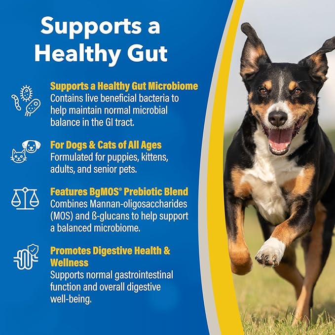 Doc Roy’s GI Synbiotics Probiotic & Prebiotic Supplemental Gel for Dogs & Cats, Digestive & Immune Health Supplement with Live Cultures, BgMOS & Beta Glucans, Chicken Flavor, 15ml Oral Gel