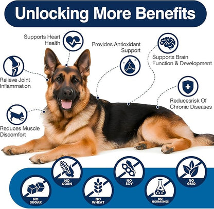 Omega 3 Skin and Coat Supplement for Dogs 200 Chews Dog Fish Oil Supplements with EPA & DHA Fatty Acids Dry Skin Relief for Dogs Shedding Allergy Itching Promotes Heart Hip Joint Health Chicken Flavor