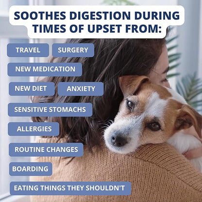 Under the Weather Bland Diet for Dogs | Easy to Digest for Sick Dogs |Always Be Ready| Contains Electrolytes - All Natural Freeze Dried 100% Human Grade Meats| 2 Pack- Rice Turkey & Sweet Potato - 6oz
