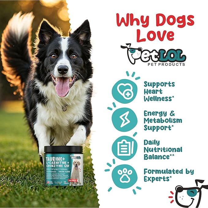 Taurine Supplement for Dogs with L-Carnitine and Coenzyme Q10 (CoQ10): Vet Endorsed for Enlarged Heart (DCM), Congestive Heart Failure, Taurine Deficiency: 3-in-1 | Dog Supplements- 120ct