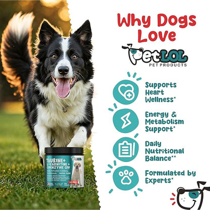 Taurine Supplement for Dogs with L-Carnitine and Coenzyme Q10 (CoQ10): Vet Endorsed for Enlarged Heart (DCM), Congestive Heart Failure, Taurine Deficiency: 3-in-1 | Dog Supplements- 120ct