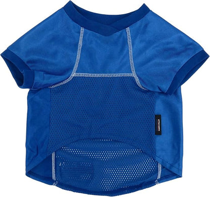Littlearth NCAA Basic Pet Jersey - Officially Licensed Teams