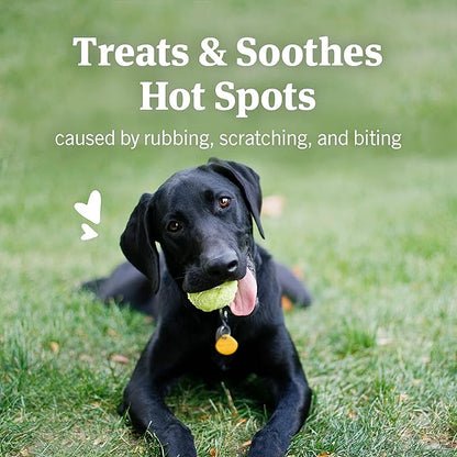 PetArmor Hot Spot Skin Remedy for Dogs, 4 oz (Pack of 2)