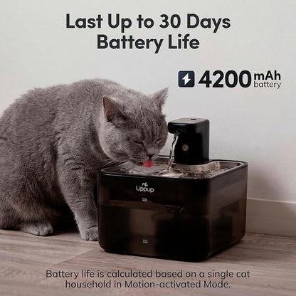 Cat Water Fountain Cordless, 88oz/2.6L Wireless Pet Water Fountains for Cats Indoor, Battery Operated Cat Drinking Fountain with Motion Sensor, Ultra Quiet Pump, BPA-Free, Black + 6 Filters